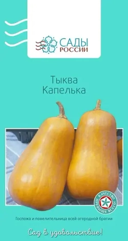 Тыква семена