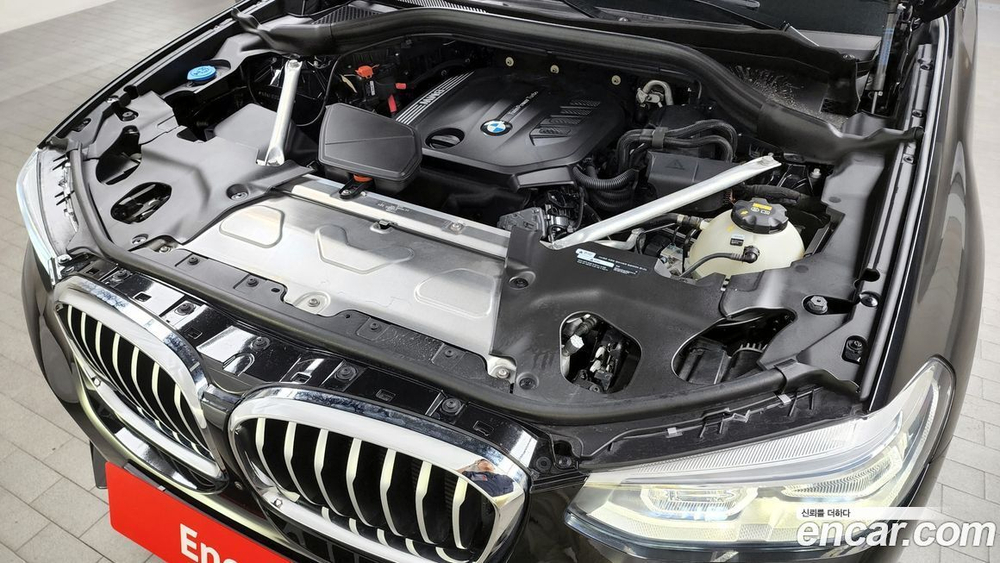 BMW X4 (G02) xDrive20d xLine (07.2020)