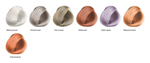 Тонер для волос / Reverso Hair Color, 100мл