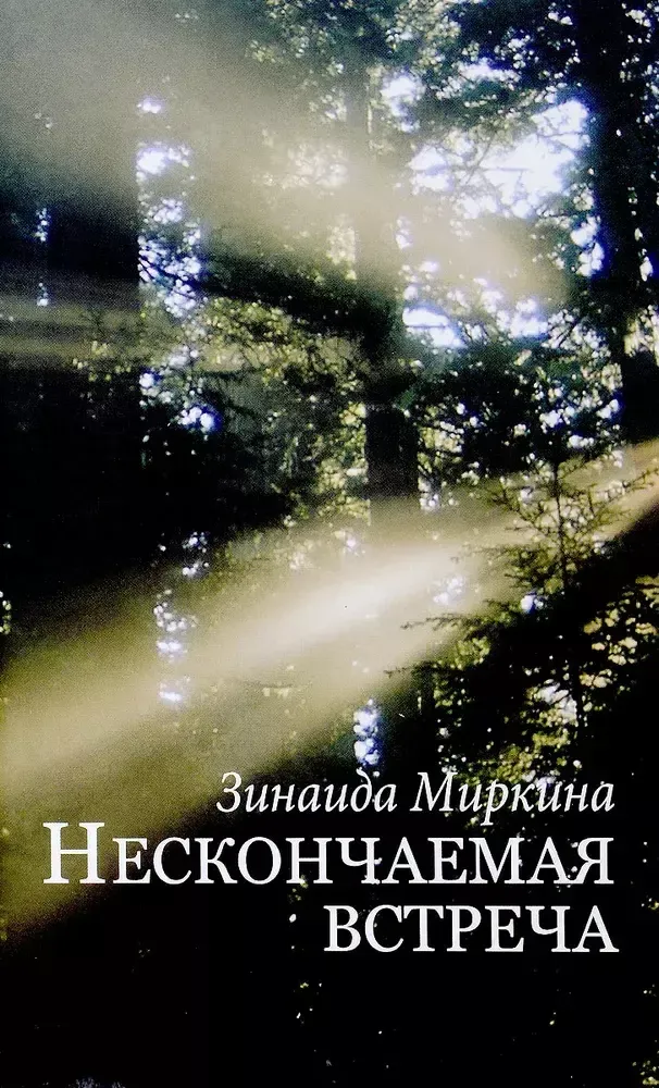 Нескончаемая встреча