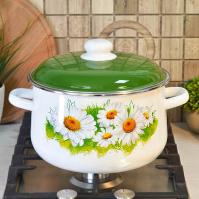 Кастрюля 5,5л коническая "Ромашки лето"