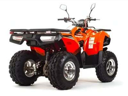 Квадроцикл MOTOLAND 200 MAX
