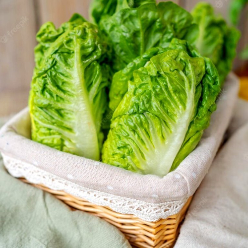 Салат Ромэн Литл Джем - Little Gem Romaine Lettuce