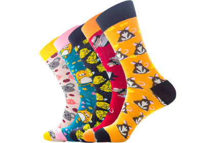 Носки мужские Funfur Fanta в наборе 5 пар