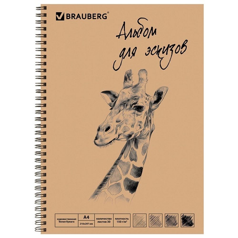 Альбом для эскизов А4, 148х210 мм, 30л, на гребне, пл. 150гр, белая бумага, Brauberg,128949