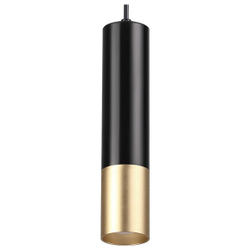 Подвесной светильник Odeon Light 3876/1L