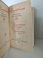 К. Паустовский. Избранные произведения. В 2 томах (комплект из 2 книг)