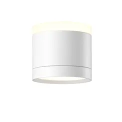 Потолочный светильник Technical C120CL-GX53-W
