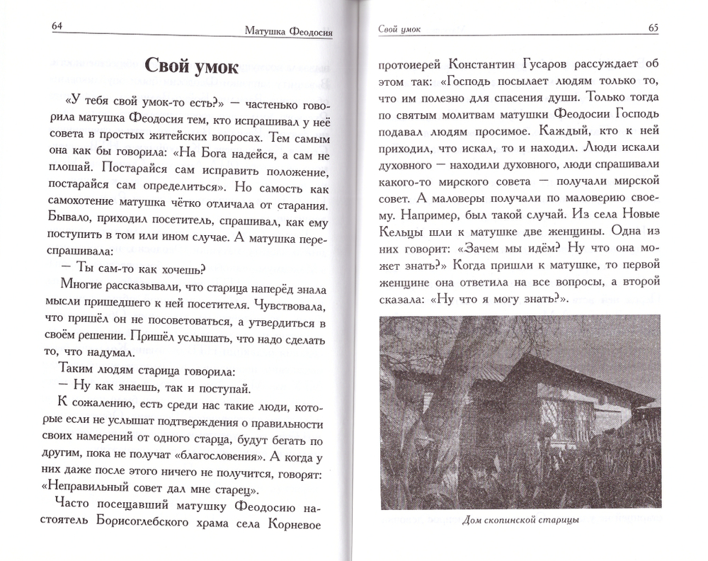 Матушка Феодосия. Рассказы о скопинской старице. Игорь Евсин