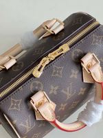 Louis Vuitton Speedy 20