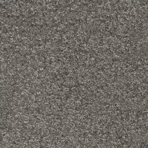 Ковровое покрытие AW Gaia Equator 95