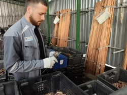 Гильзы кабельные медные луженые ГМЛ 4 ГОСТ 23469.3-79 25 шт ДПА