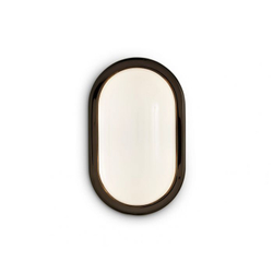 Настенный/Потолочный светильник Obround Black