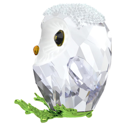 IDYLLIA:BABY OWL