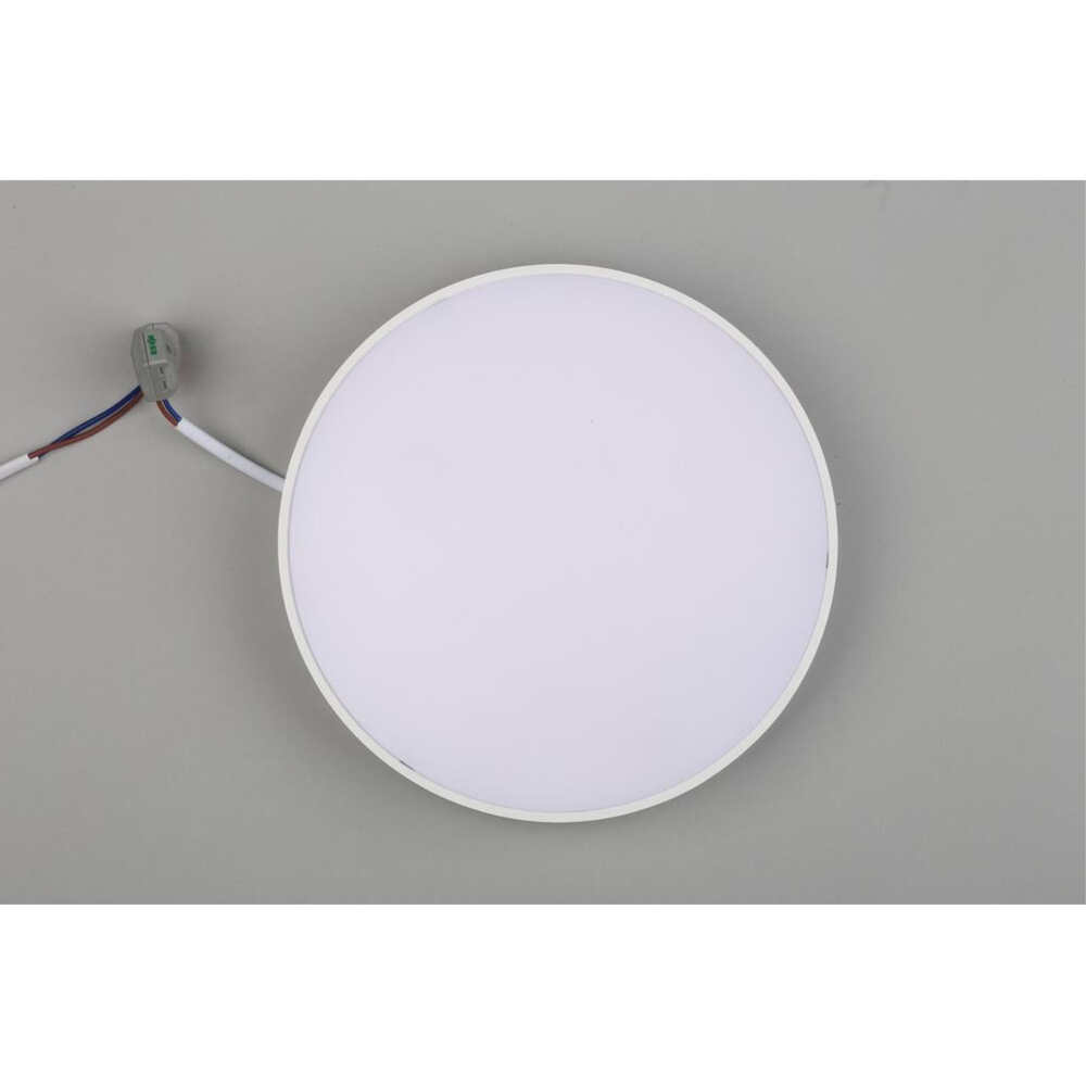 Потолочный светодиодный светильник Aployt Evon APL.0113.09.24