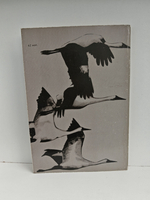 Летела птица