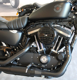 Iron  883 (XL883N) Harley-Davidson® Sportster® 2020