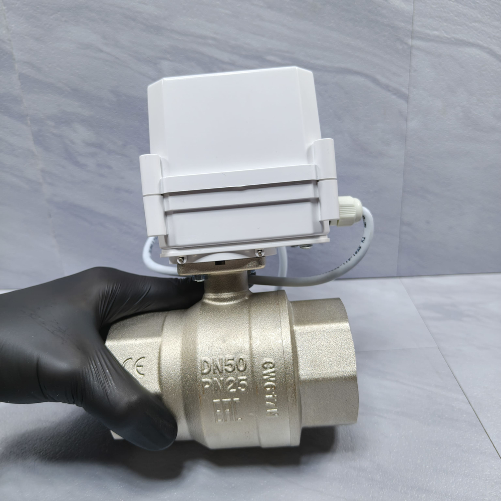 Gidrolock Professional 24V G-lock 2" BS FB