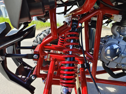 Квадроцикл PROMAX WILD 175 BASIC