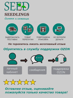 Томат Комнатный Сибиряк (0,05гр). Семена Алтая