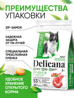 Cухой полнорационный корм для взрослых собак средних пород ягненок с рисом Delicana 2кг