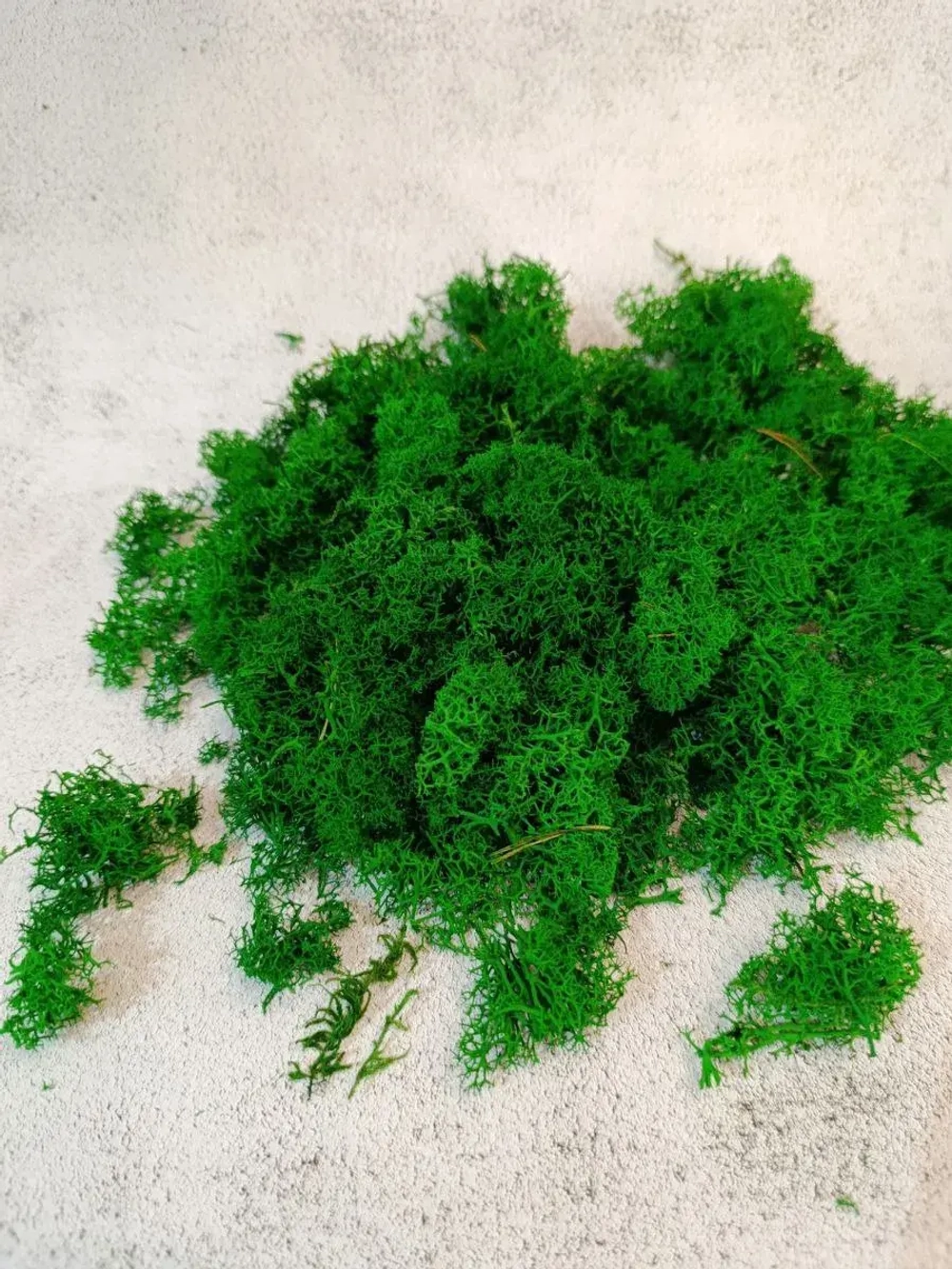 Мох стабилизированный обрезки для рукоделия