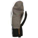 Утепленные лыжные рукавицы DAHLIE Mitten Active Jr  (подростковые)