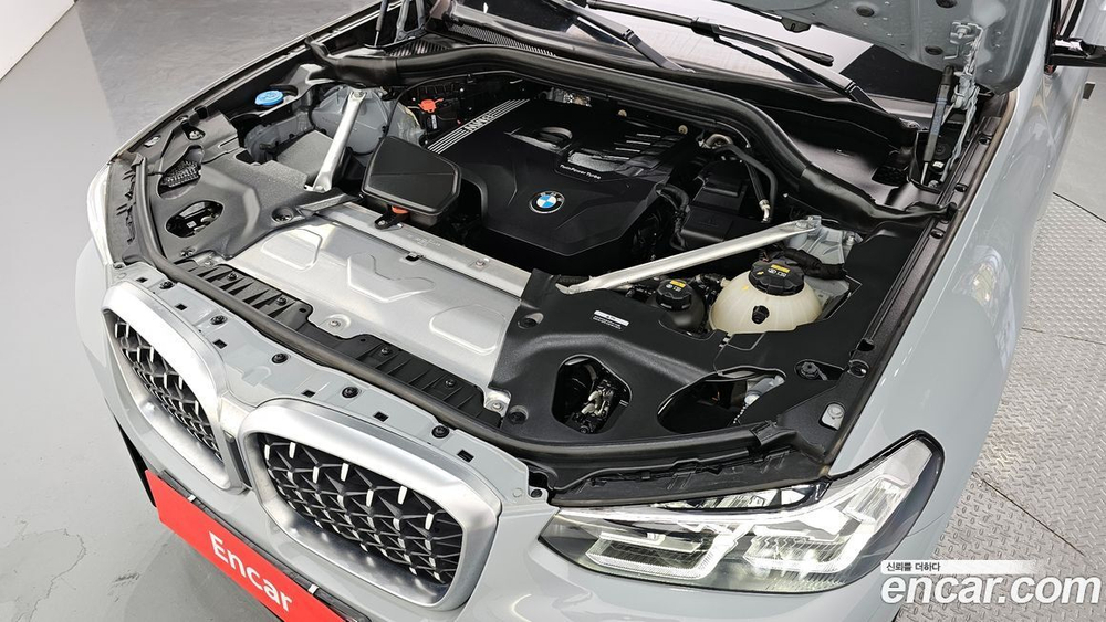 BMW X4 (G02) xDrive20i xLine (04.2022)