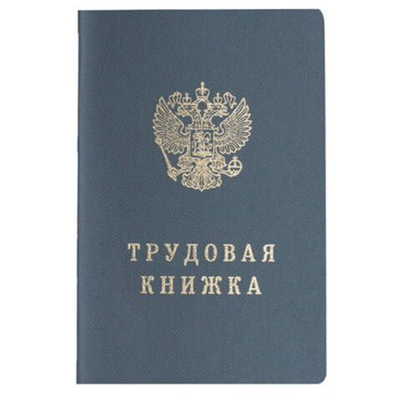 Бланк Трудовая книжка, тверд. РФ ОБРАЗЕЦ 2023г.