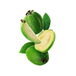 Starline - Feijoa (250g)