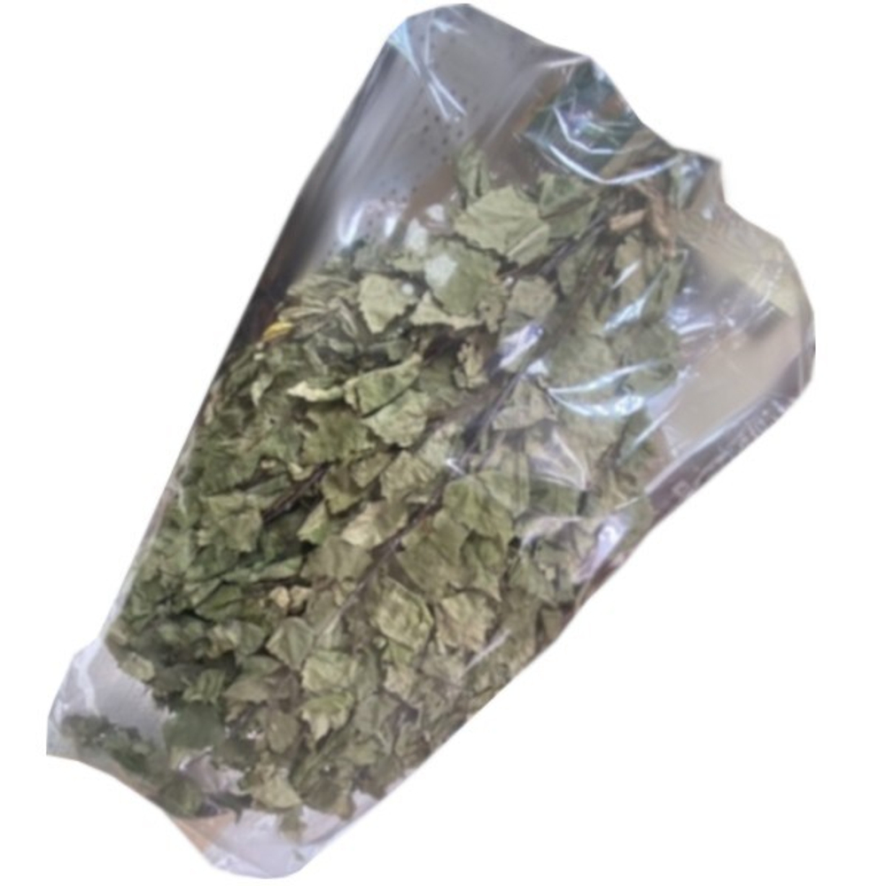 Веник дубовый с оплеткой в эконом-пакете (ручка 10см, Крафт пакет - 60*30)