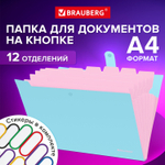 Папка-органайзер на кнопке 12 отделений BRAUBERG "Extra" А4 голубая с розовым (6 штук в упаковке)
