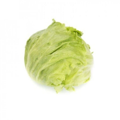 Даянас Knox семена салата айсберг (Rijk Zwaan / Райк Цваан)