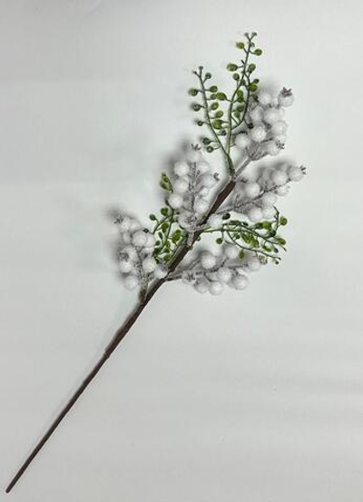 Ветка белая снежная ягода