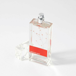Armand Basi туалетная вода In Red, 100 мл, 100 г