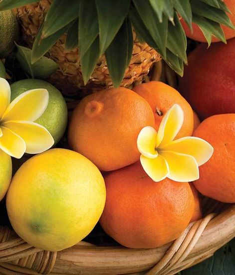 Ароматический воск Антизапах Тропический цитрус Tropical Citrus, Candle Warmers