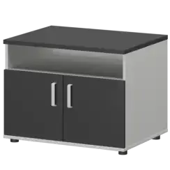 Тумба для оргтехники СМТ-2ДН Тип2  800x600x625 Смарт