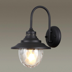 Уличный настенный светильник Odeon Light 4836/1W