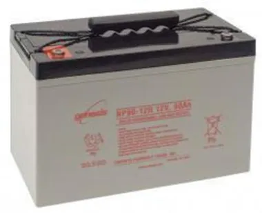 Аккумуляторы EnerSys NP90-12 - изображение 1 Аккумуляторы EnerSys NP90-12 - фото 1