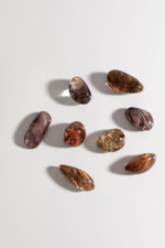 Коллекционный кварц аквариум с включениями