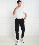 Спортивные штаны EA7 - черный(3DPP80 PJ07Z)