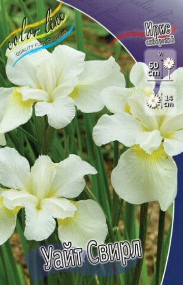 Ирис Сибирский Уайт Свирл