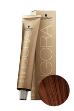 Краска для волос Igora Absolute 5-80 Светлый коричневый красный натуральный Schwarzkopf Professional, 60 мл