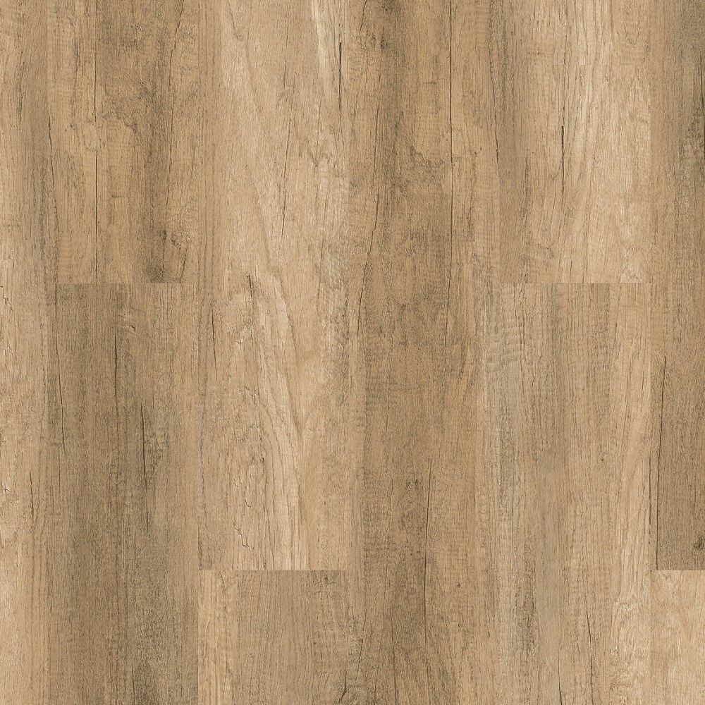 Design Concept Enzo 4006, 3,78 м²