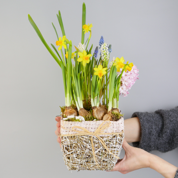 Композиция с первоцветами в розовой корзине