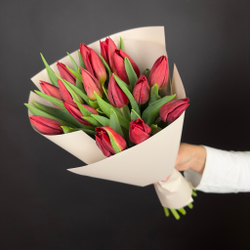 Bouquet of 15 red tulips