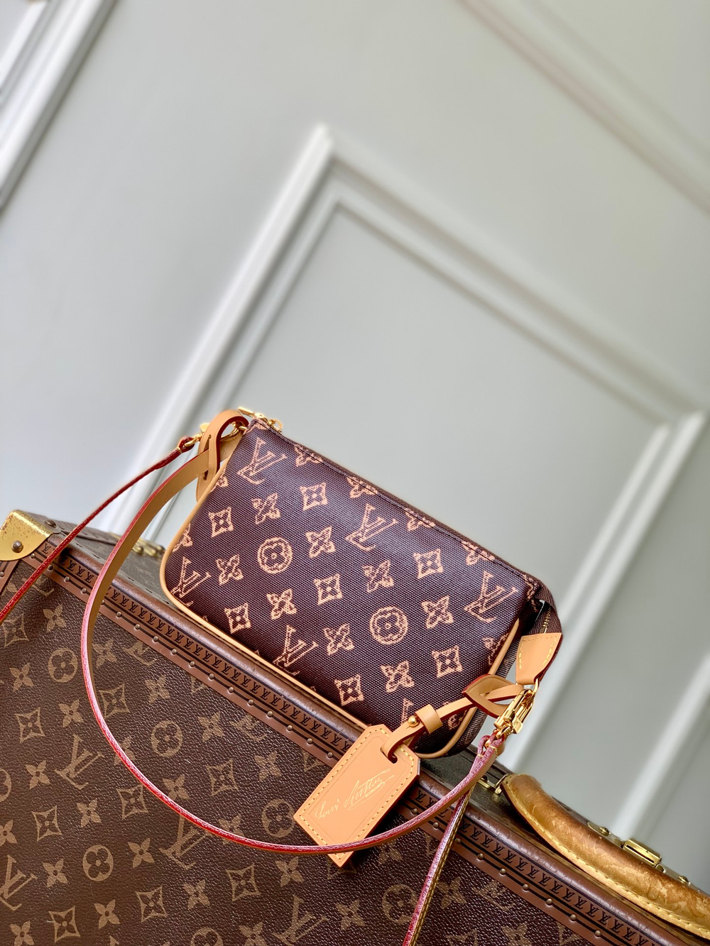 Louis Vuitton Pochette Accessoires