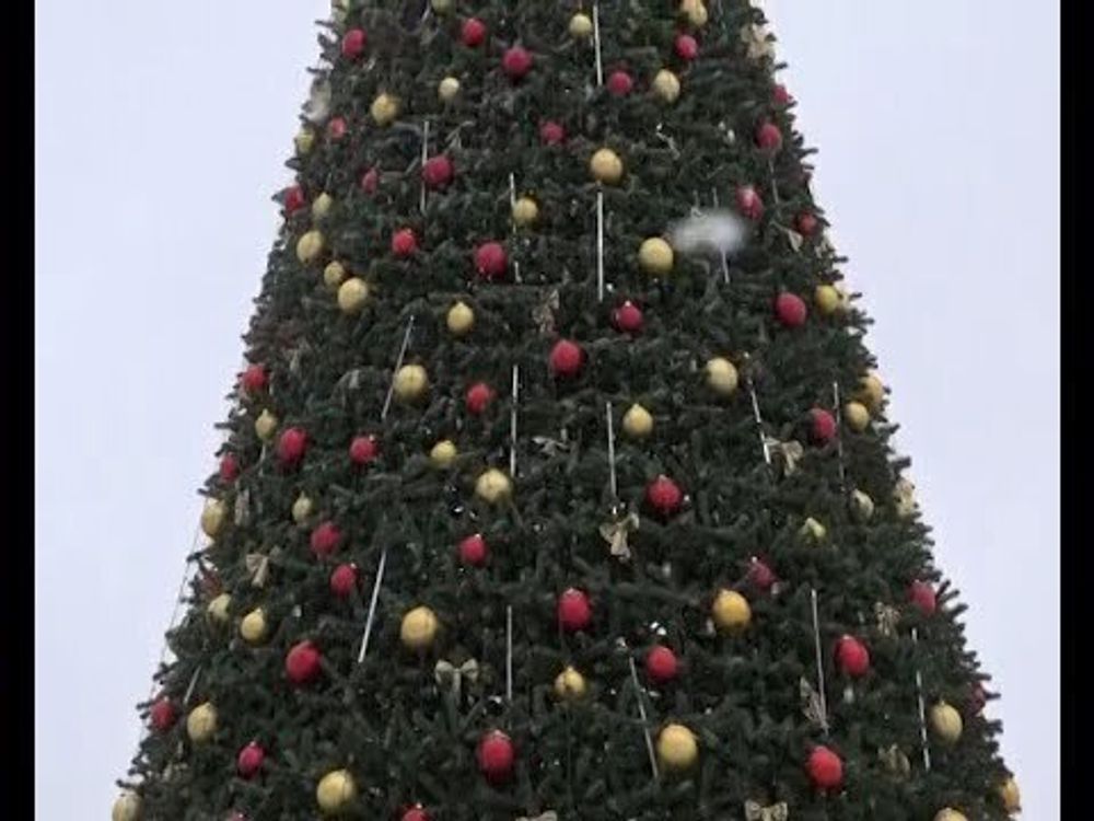 Уличная Гирлянда: холодный белый "Тающие сосульки" для елок от 3 до 19 м