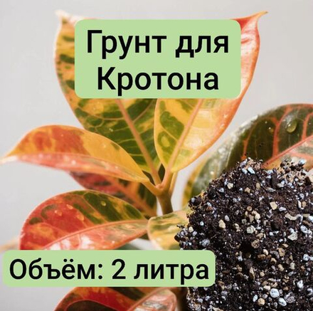 Грунт для Кротона 2 л грунт универсальный 2 литра грунта для Кротона