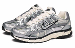 Кроссовки Nike P-6000